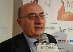Brunelli, Maddalena:  “Ai Musei San Domenico di Forlì la mostra che ripercorre la storia e la leggenda dell’eroina cristiana”