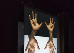 Biennale di Venezia: alla scoperta dei padiglioni e delle mostre da non perdere