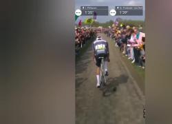 Parigi-Roubaix, Van der Poel colpito in faccia da una borraccia lanciata da un tifoso: "Sembrava una pietra" - VIDEO
