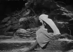 Oggi 11 febbraio festa della Madonna di Lourdes: VIDEO e immagini