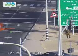 Israele, nuovo capo Mossad Roman Gofman combatte contro miliziani di Hamas a Sderot il 7 ottobre 2023 e rimane ferito a una gamba - VIDEO