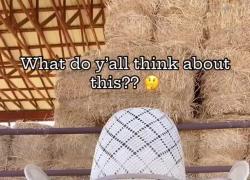 Vaccini Covid, allevatori: "Somministrati agli animali destinati alla tavola per ucciderci, tra loro morti e reazioni avverse" - VIDEO