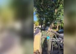 Israele, droni dal Libano su Cesarea: “Obiettivo casa di Netanyahu, ma lui e la moglie non erano lì”, raid Idf a Jabalia, 33 morti - VIDEO