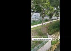 Olimpiadi Parigi 2024, Thomas Ceccon dorme nel parco per mancanza di aria condizionata nel villaggio degli atleti - VIDEO