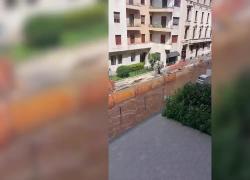 Milano, via Fontana allagata per errore di un operaio su una tubatura, la strada come un fiume in piena, 400 famiglie senz'acqua - VIDEO