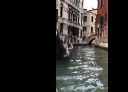 Giovane donna nuda su un ponte a Venezia. Sfila in pieno giorno e diventa subito virale - VIDEO