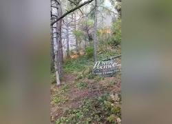 Drone ucraino attacca la villa di Putin sul Mar Nero, incendio e 41 ettari di terreno bruciati intorno alla residenza - VIDEO