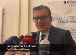 Centinaio (Senato): "Industria agroalimentare italiana all'avanguardia: nostro dovere dettare gli standard"