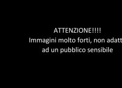 Bakhmut, Prigozhin gira video choc con cadaveri soldati Wagner: "Siamo senza munizioni. Vertici sono putt*** sedute nei salotti" - IMMAGINI