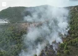 Vieste, incendio alla Baia San Felice sul Gargano, evacuate strutture ricettive, oltre 1000 turisti in fuga - VIDEO