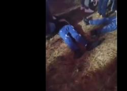 Incidente a San Severo, giostra caduta improvvisamente, feriti 9 bambini - VIDEO