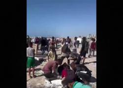 Gaza,  51 palestinesi morti in raid Idf nel centro GHF di Zikim: civili colpiti mentre raccolgono farina e latte in polvere da terra - VIDEO