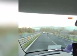Sassari, assalto al portavalori sulla 131 a Siligo, morto uno dei rapinatori, gravi due guardie giurate - VIDEO