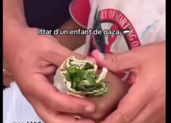 Gaza, palestinesi senza cibo, bambini costretti a mangiare l'erba dei prati nel mese del Ramadan: "Non abbiamo altro" - VIDEO
