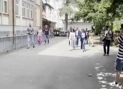 Elezioni europee 2024, Elly Schlein con la compagna nel seggio di Bologna, si rompe la matita e deve cambiarla - VIDEO
