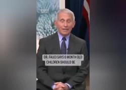 Covid, Fauci: "I bambini di 6 mesi dovrebbero essere vaccinati. Dave Rubin: &ldquo;E&rsquo; solo un pazzo fuori di testa&rdquo;- VIDEO
