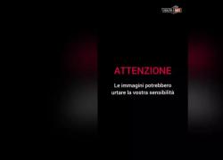 Sardegna, lancia gattino dal ponte di Lanusei in Ogliastra nel vuoto tra le risate degli amici, il VIDEO CHOC