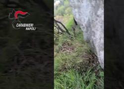 Pozzano (Na), scomparso da 3 giorni, uomo trovato in bilico su burrone e salvato dai Carabinieri - VIDEO  