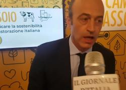 Parmigiano reggiano, Nicola Bertinelli: "Al centro le persone, i diritti degli animali e la sostenibilità nelle produzioni"

