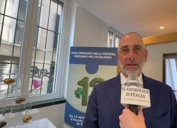 Loeser (Arca Fondi): “Vogliamo contribuire alla diffusione della cultura finanziaria e stimolare la crescita del Paese; contesto geopolitico incerto, ma nessuna svolta imminente”