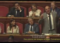 Senato, Berrino (FdI): "Le donne che fanno figli per rubare non sono degne di farli", polemiche in aula, Pd: "Parole crudeli" - VIDEO