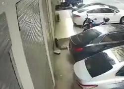 Fanno sesso sul balcone, lei vola sull'auto parcheggiata sotto: VIDEO