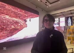 Zanelli (Curatrice): "La mostra 'Thermocene' mette al centro il rapporto natura-uomo attraverso un'esperienza sensoriale crossmediale"