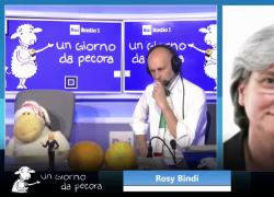 Rosy Bindi su Berlusconi: "Lutto nazionale inopportuno, ha segnato in negativo la storia d'Italia" -  VIDEO