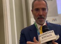 De Molli (TEHA Group): "Materie prime critiche abilitano processi industriali manifatturieri per una cifra superiore a €600 mld determinando la vita o la morte del Made in Italy"
