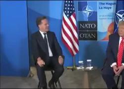 Guerra Israele-Iran, Rutte definisce Trump "daddy": "Paparino a volte deve usare toni forti con i bambini" - VIDEO