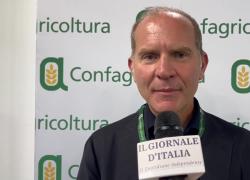Giansanti (Confagricoltura): "L’Italia è una grande potenza agricola, dobbiamo mantenere il primato puntando su qualità e innovazione"