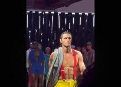 New York, collezione abiti di lana di pecore gay sfila per la prima volta, Stücke: "Arieti omosessuali discriminati in allevamenti"