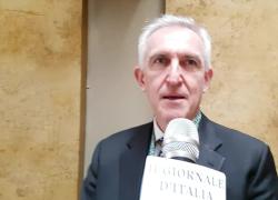 De Nicola, Presidente The Adam Smith Society: "Transizione energetica, non è il tempo di Greta Thunberg. L'Italia rifletta su nucleare"