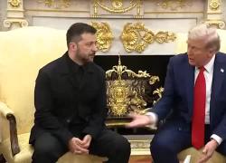 Washington, l’Ue ai piedi di Trump, ringraziamenti dei leader europei, Zelensky batte il record con 11 “grazie” in 4 minuti - VIDEO