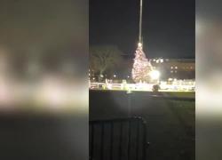 Usa, caduto albero di Natale della Casa Bianca a causa del vento, risollevato con una gru - VIDEO