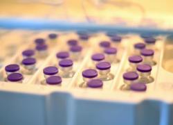 Vaccini, a Rieti fila da ieri sera per il Junior Open day: boom della fascia 12-16 anni