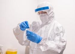 Batteri specchio sintetici fatti in laboratorio, 38 scienziati chiedono stop alle ricerche: "A rischio vita sulla Terra, possibili nuove epidemie"