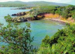 Isole covid free: è già scontro tra le Regioni