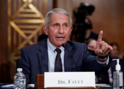 Covid, il Dott. Jay Bhattacharya: "Gestione della pandemia catastrofica. Anthony Fauci dovrebbe essere sostituito"
