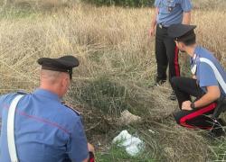 Novara, resti umani ritrovati in un bosco sono di Liliana Agnani: il figlio Stefano Garini indagato per omicidio
