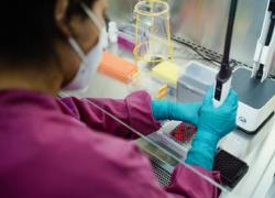 Infertilità in aumento, in Italia colpisce il 15%  delle coppie, in 10 anni crescita del 73% nell'utilizzo della Procreazione assistita