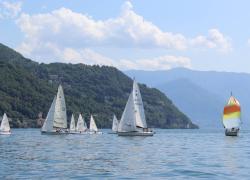 Predore (BG), 64enne Frisca Lisa Laygo morta travolta da una barca mentre nuotava nel Lago d'Iseo, colpita tra la testa e il collo dal mezzo