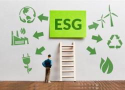 Unione Industriali Napoli si unisce all'alleanza Open-es per migliorare le performance ESG 