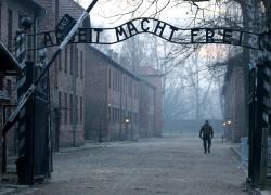 Russia esclusa da memoriale di Auschwitz, vicepresidente serbo Vulin: “Presenti Paesi che hanno organizzato Olocausto, ma non chi ha sconfitto nazisti”