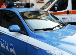 Cuneo, 40enne rientra a casa ubriaca e uccide il cane lanciandolo dal balcone, la confessione choc: "Abbaiava forte e mi ha fatto arrabbiare"