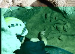 Muciv inaugura a Roma Laboratorio Neanderthal, nuova area espositiva