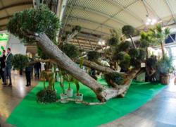 Myplant&Garden, X edizione dal 18 al 20 febbraio 2026 a Fiera Milano Rho