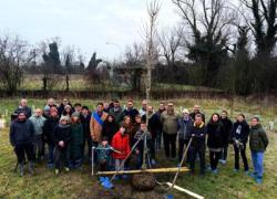 KilometroVerdeParma celebre traguardo storico, piantato 100.000esimo albero