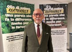 Alimentazione, esperto Donegani: "Olio di palma demonizzato, sostituirlo non porta benefici"