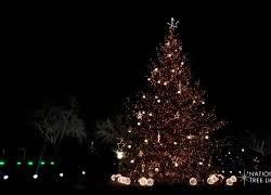 Trump e Melania accendono l'albero di Natale di Washington, il momento del conto alla rovescia